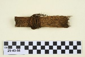 29-43-66