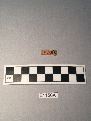 E1156A