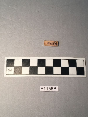 E1156B