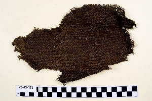 29-43-113