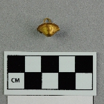 462749