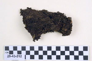 29-43-312