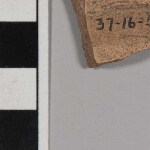 464519