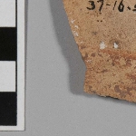 464553