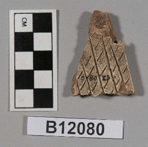 B12080