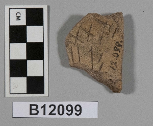 B12099