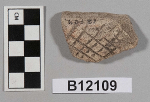 B12109