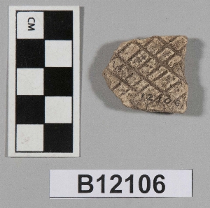 B12106