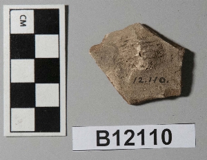 B12110