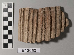 B12053