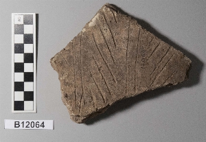 B12064