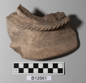 B12061