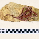 469022