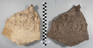 B1815