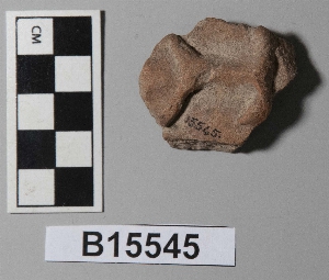 B15545