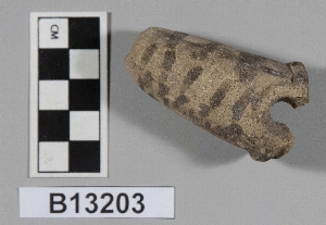 B13203