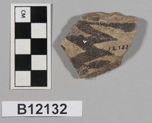 B12132