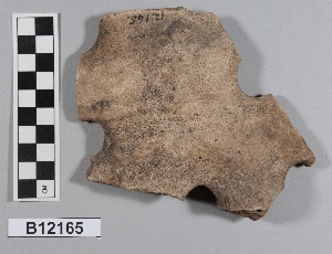 B12165