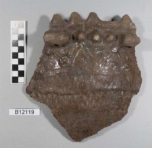 B12119