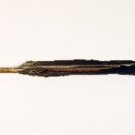470635