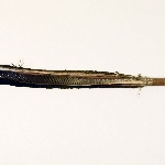 470636
