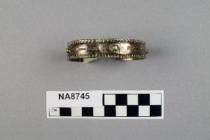 NA8745