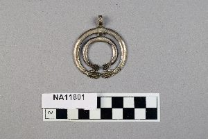 NA11801