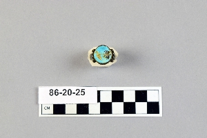 86-20-25