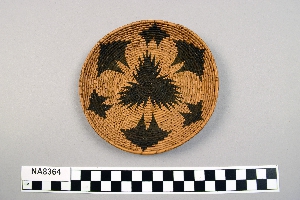 NA8364