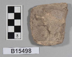 B15498