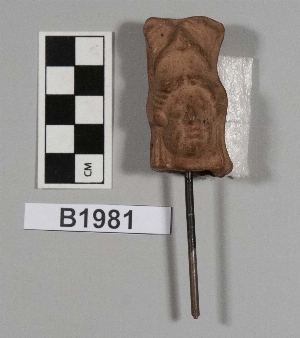 B1981