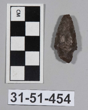 31-51-454