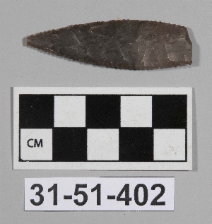 31-51-402