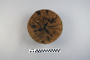 NA8768