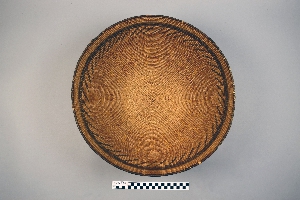 CG96-5-53