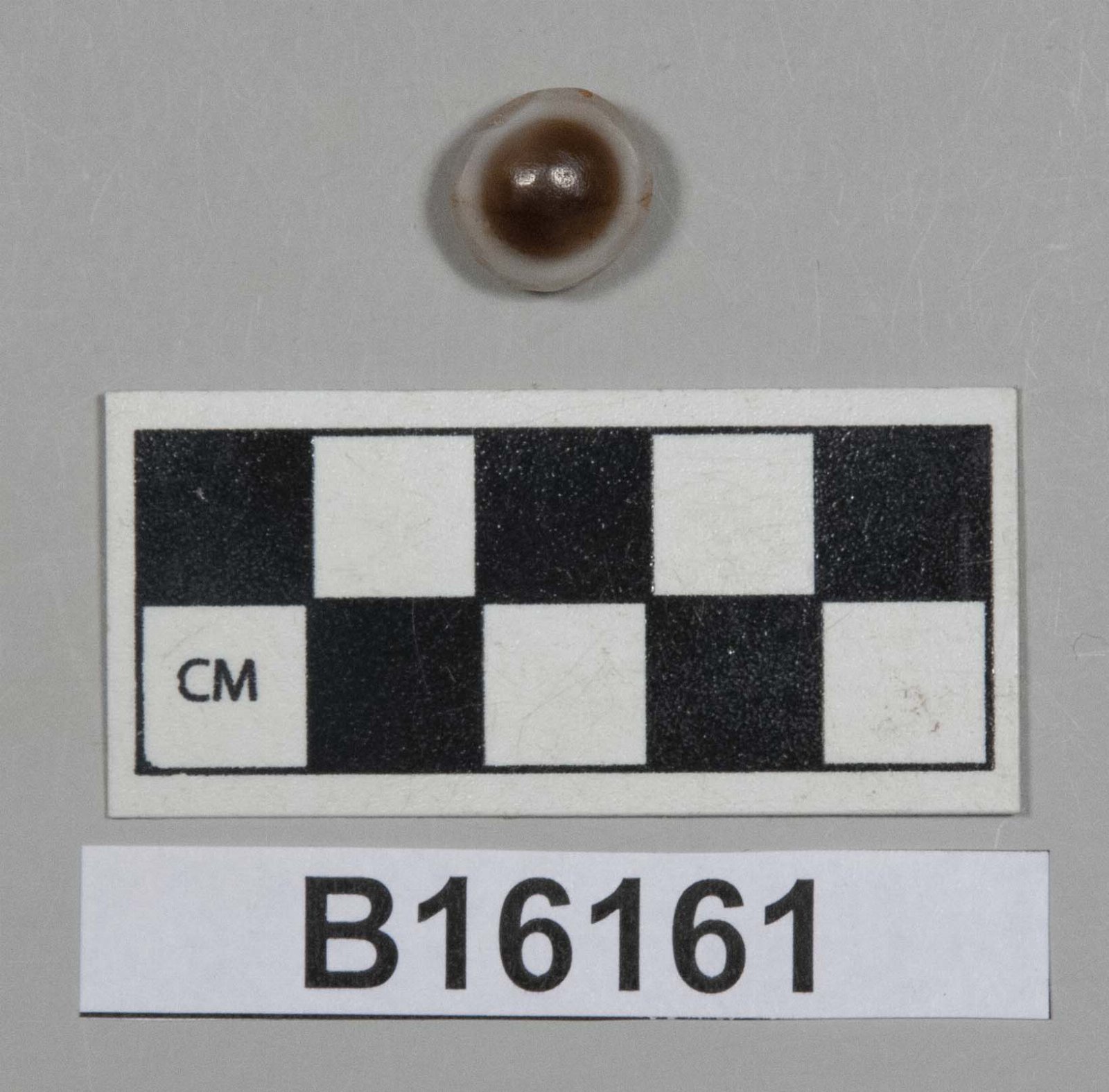 475897