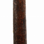 475991