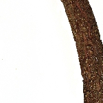 475993