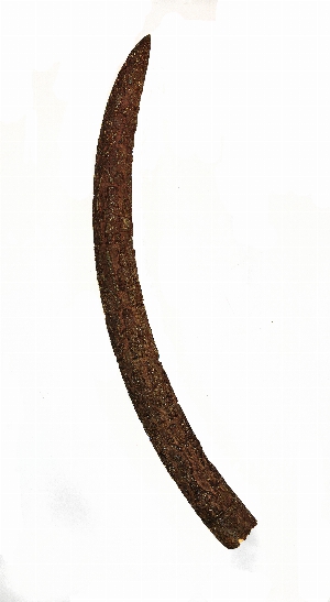 AF5067
