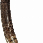 477373