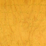 478853