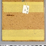 478884
