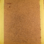 478929