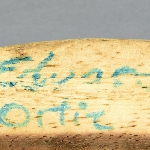 479032