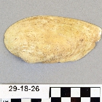 479446