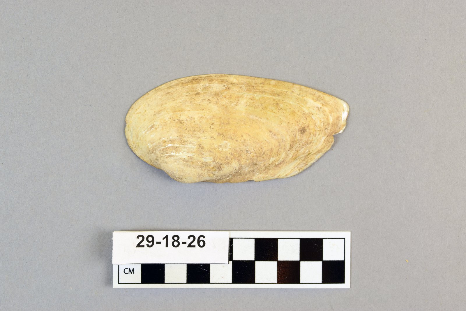 479446