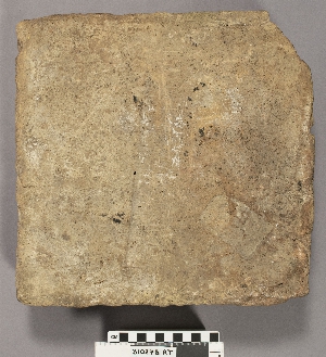 B10278