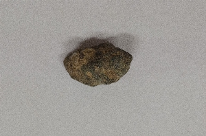 MS1798.23