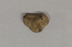 MS1798.30