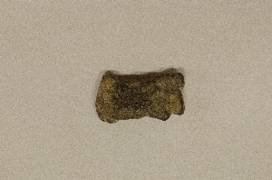 MS1798.44